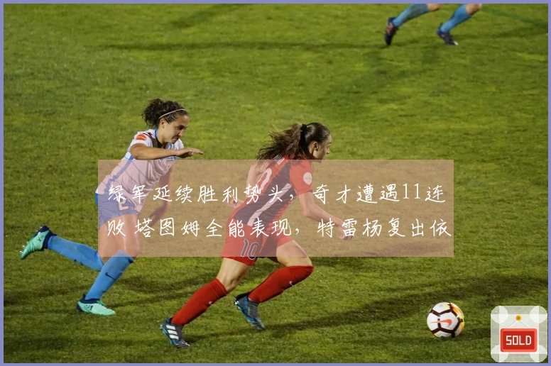 绿军延续胜利势头，奇才遭遇11连败 塔图姆全能表现，特雷杨复出依旧落败